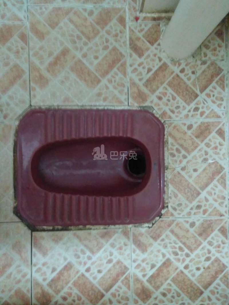 江夏村西头塘北四巷九号之二4307118卫生间图15