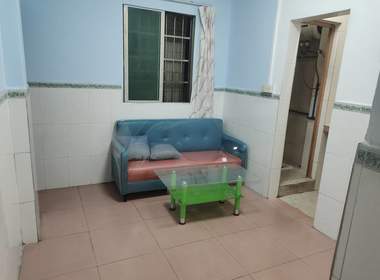 珠村中东上街四巷9号 