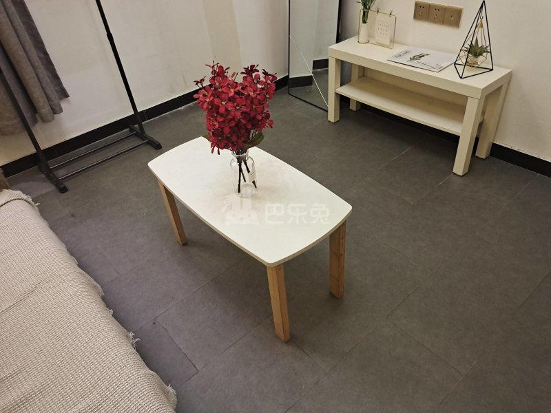 百合白领公寓（礼村洪昌工业路40号）4330041客厅图6