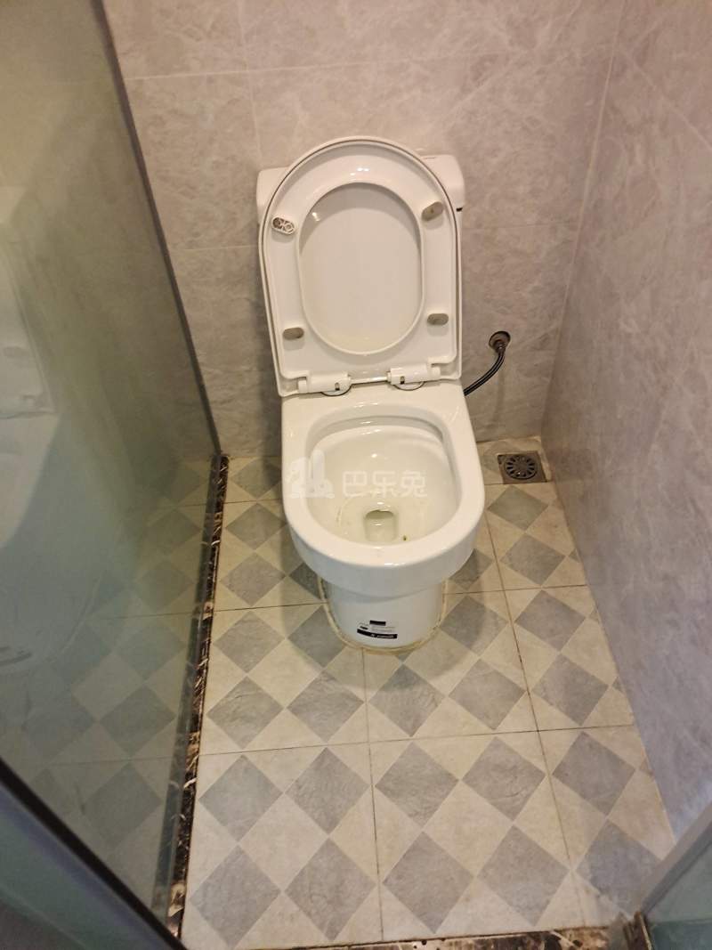 百合白领公寓（礼村洪昌工业路40号）4330041卫生间图9