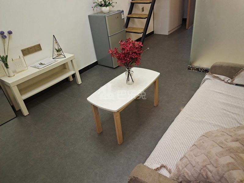 百合白领公寓（礼村洪昌工业路40号）4330041客厅图5