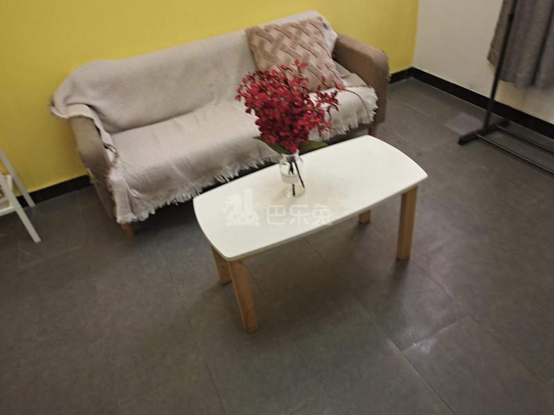 百合白领公寓（礼村洪昌工业路40号）4330041客厅图7