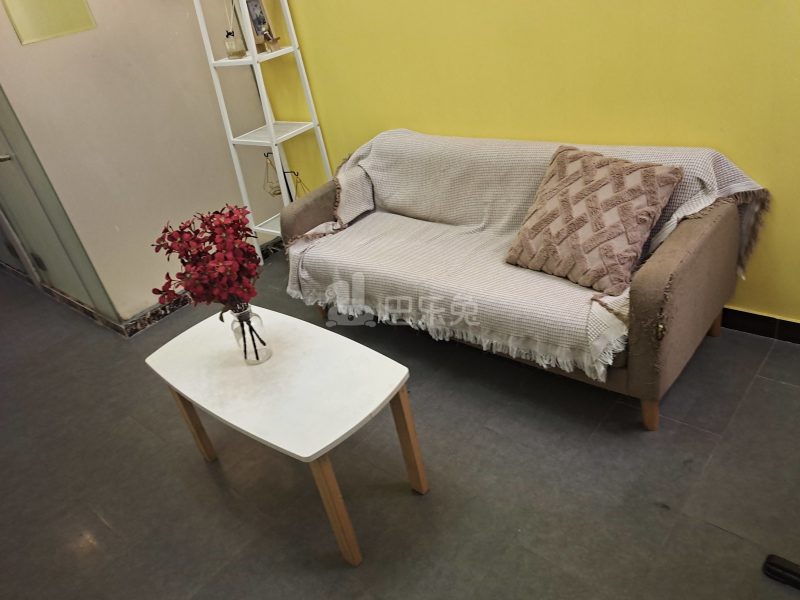 百合白领公寓（礼村洪昌工业路40号）4330041客厅图4