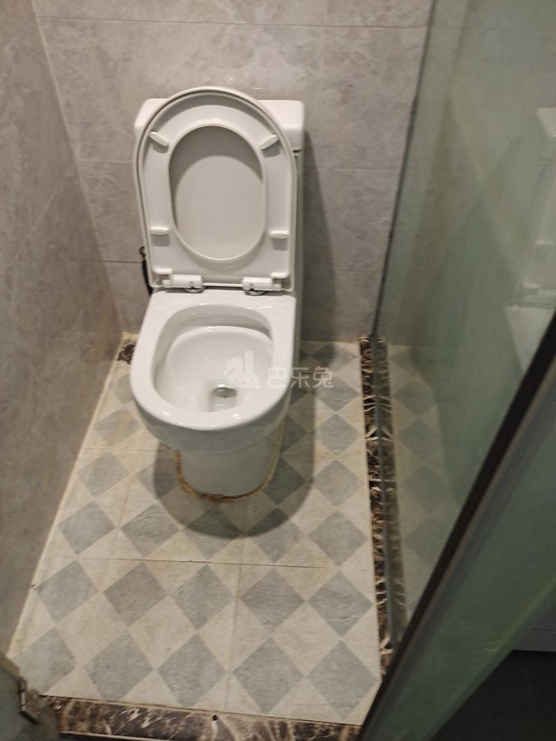 百合白领公寓（礼村洪昌工业路40号）4330042卫生间图9