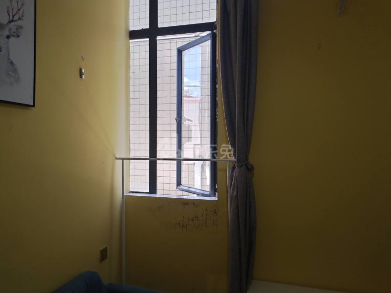 百合白领公寓（礼村洪昌工业路40号）4330054卧室窗户图10