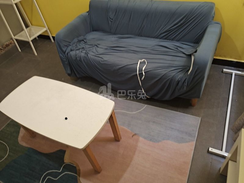 百合白领公寓（礼村洪昌工业路40号）4330054客厅图5