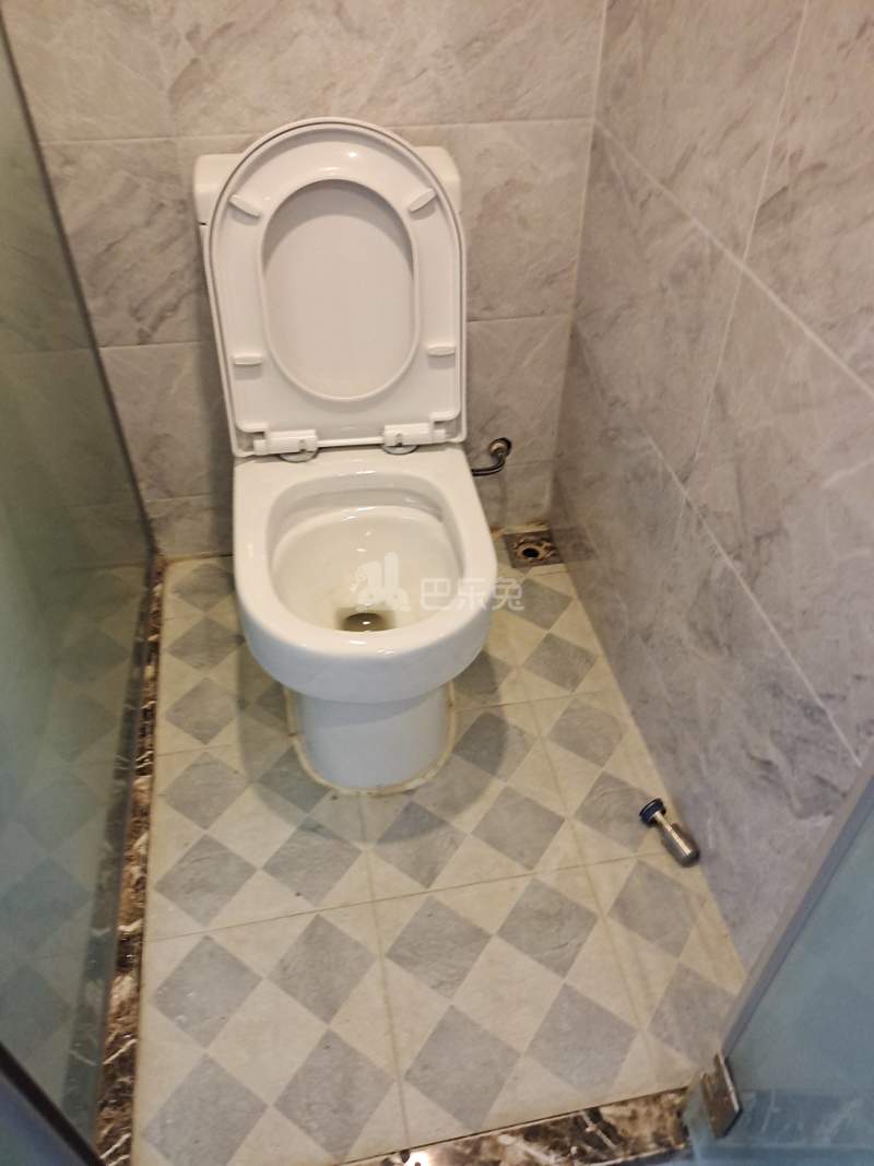 百合白领公寓（礼村洪昌工业路40号）4330054卫生间图9