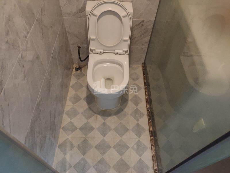 百合白领公寓（礼村洪昌工业路40号）4330059卫生间图11