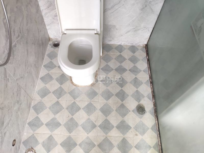 百合白领公寓（礼村洪昌工业路40号）4330069卫生间图6