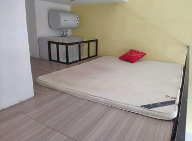 百合白领公寓（礼村洪昌工业路40号） 1室1厅1卫