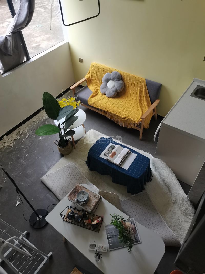 百合白领公寓（礼村洪昌工业路40号）4330076客厅图6