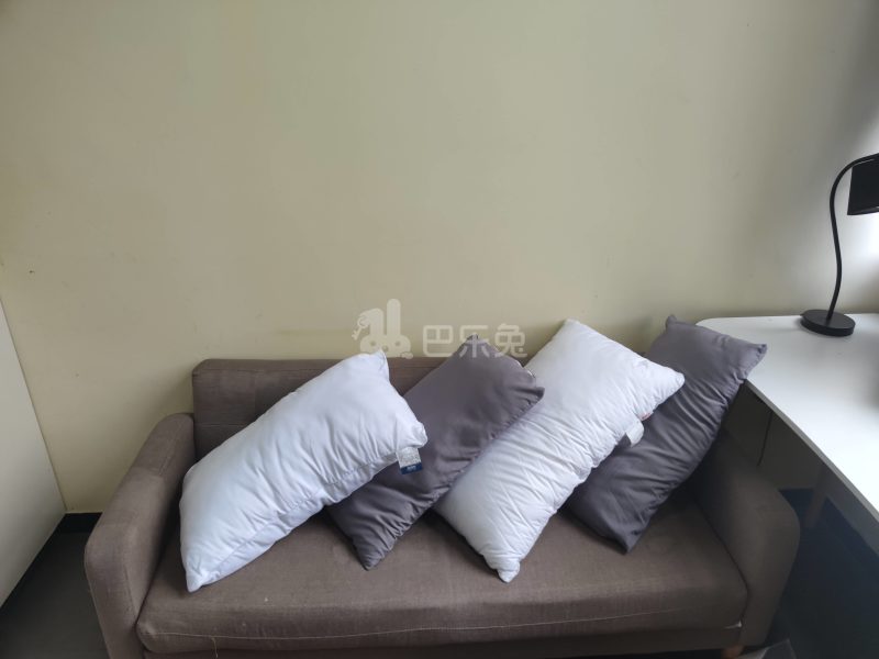 百合白领公寓（礼村洪昌工业路40号）4330078客厅图4