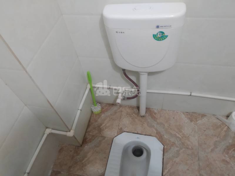 礼村西衢街34号4344843卫生间图9