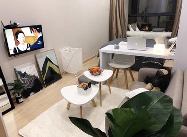 哈租客公寓(中大银泰城店) 1室1厅0卫