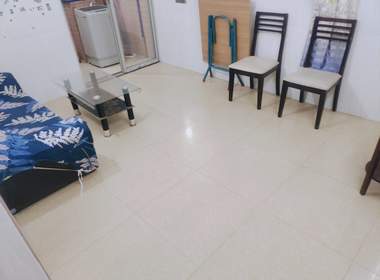 珠村南门上街五巷5号 