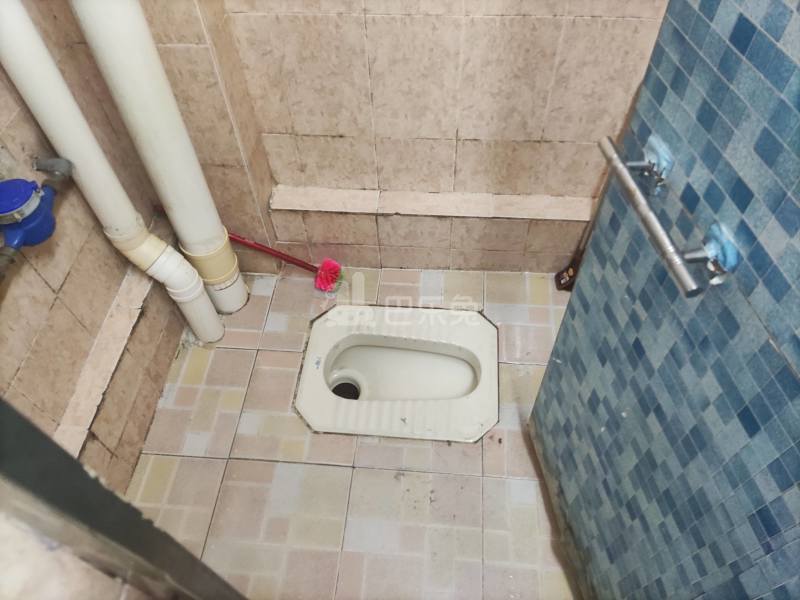 车陂西华大街11号-车陂村4369676卫生间图8