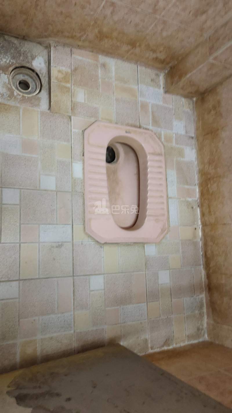 车陂西华大街11号-车陂村4369680卫生间图4