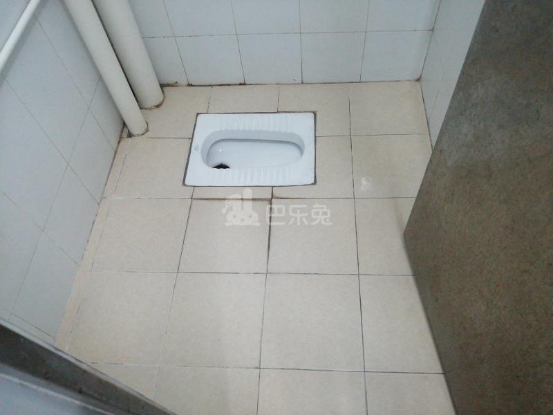 黄村庙元一巷14号4376685卫生间图9