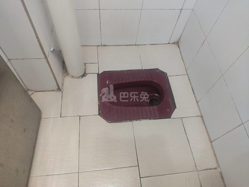 江夏村青龙大街二巷6号4385815卫生间图5