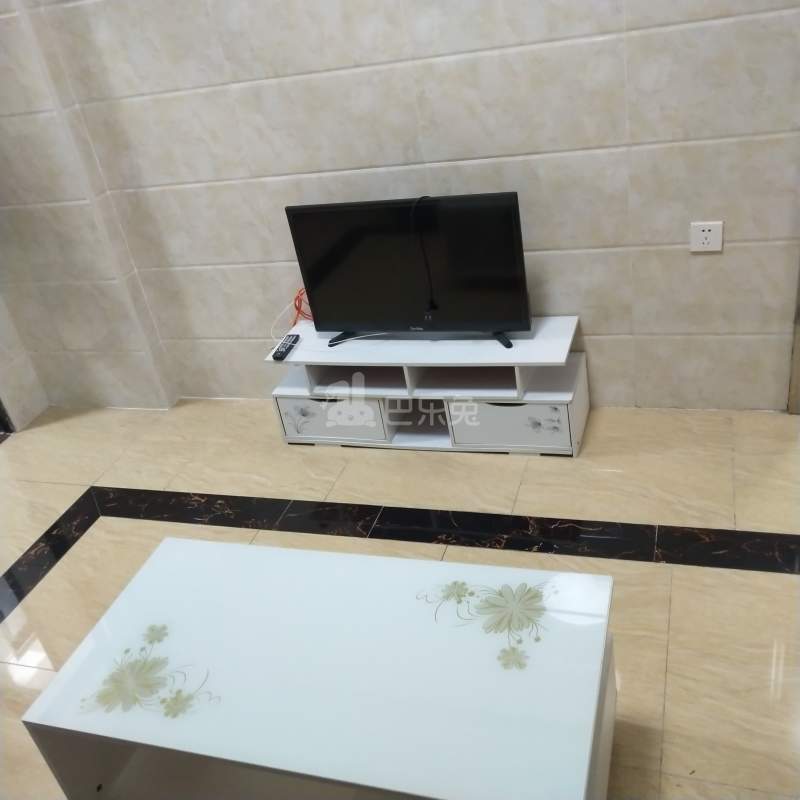 望岗村上胜东街北六巷4号4391955客厅图3