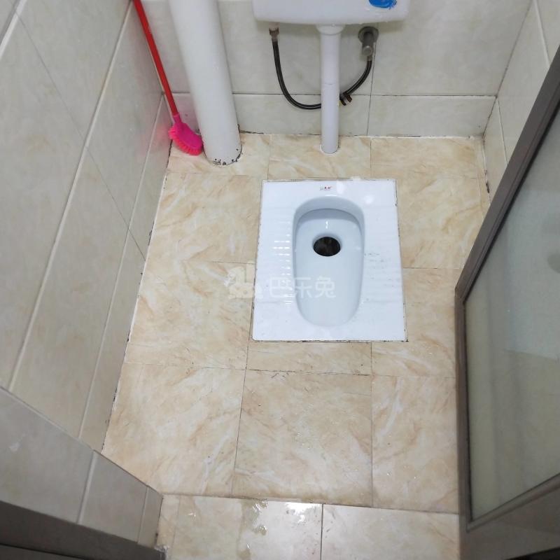 望岗村上胜东街北六巷4号4391955卫生间图6