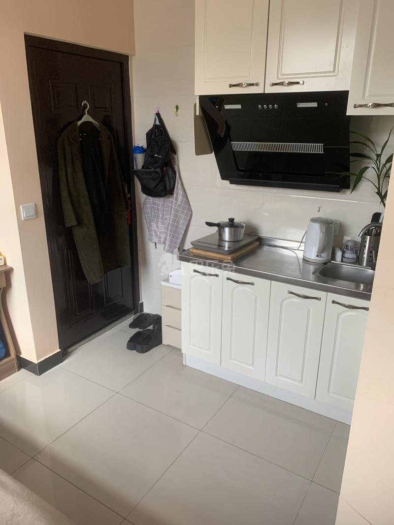 唐城公寓4396882厨房图2