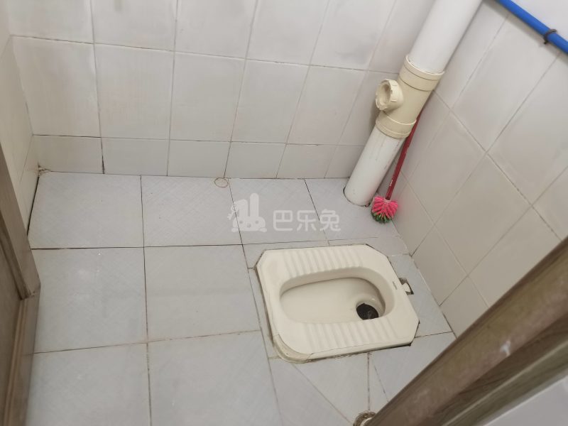 车陂大塘街55号4408039卫生间图4