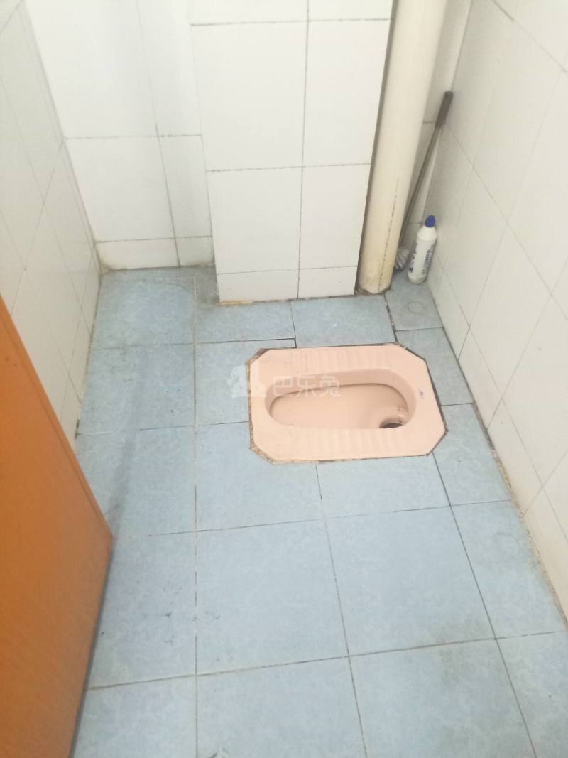 江夏村西头大街25号4412985卫生间图4