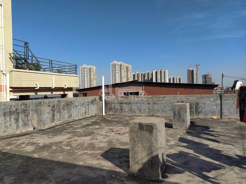 珠村明苑3座4473458卧室图1