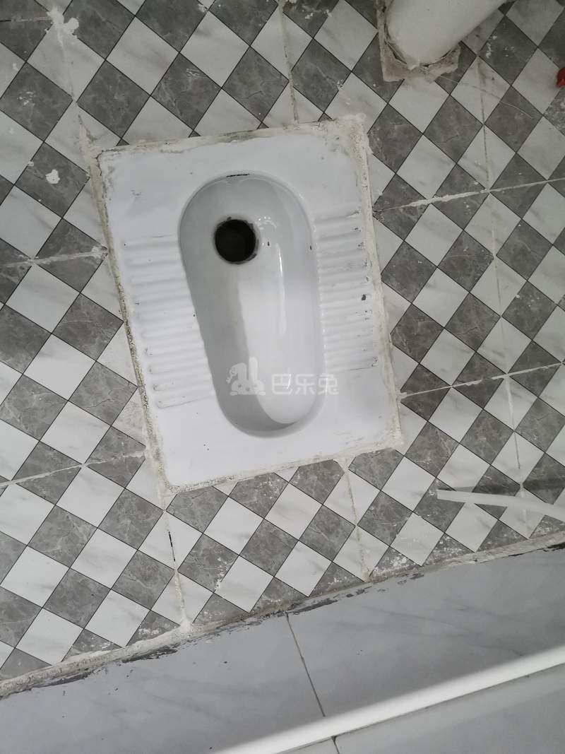 龙洞环村北街49号4495200卫生间图4