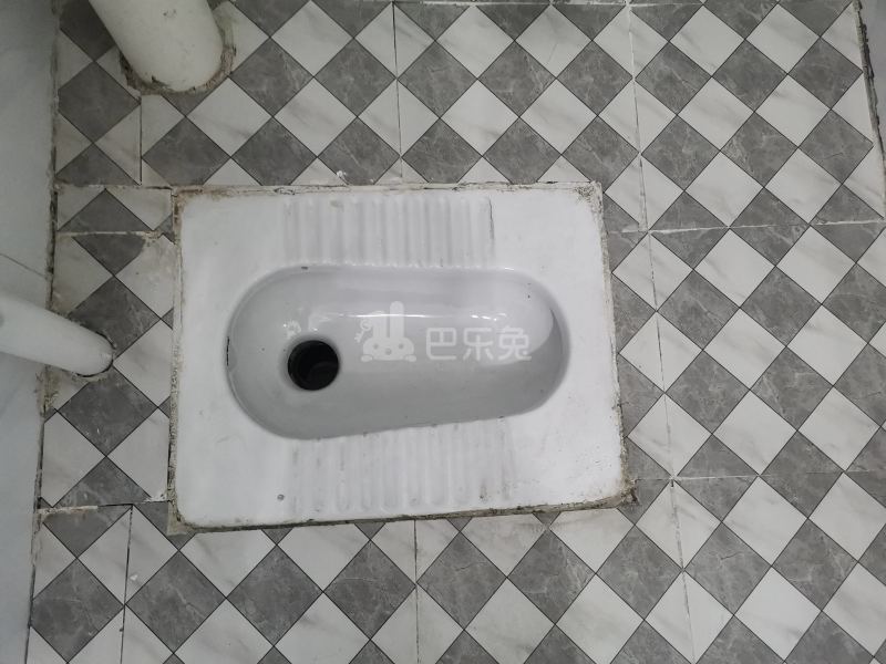 龙洞环村北街49号4495208卫生间图4