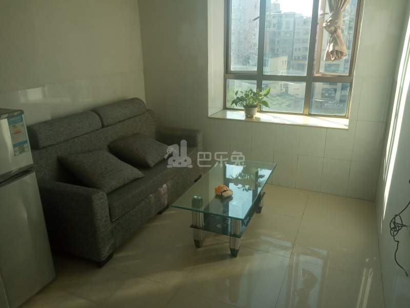 金领公寓（嘉禾望岗荷木岭街南一巷14号）4506772客厅图4