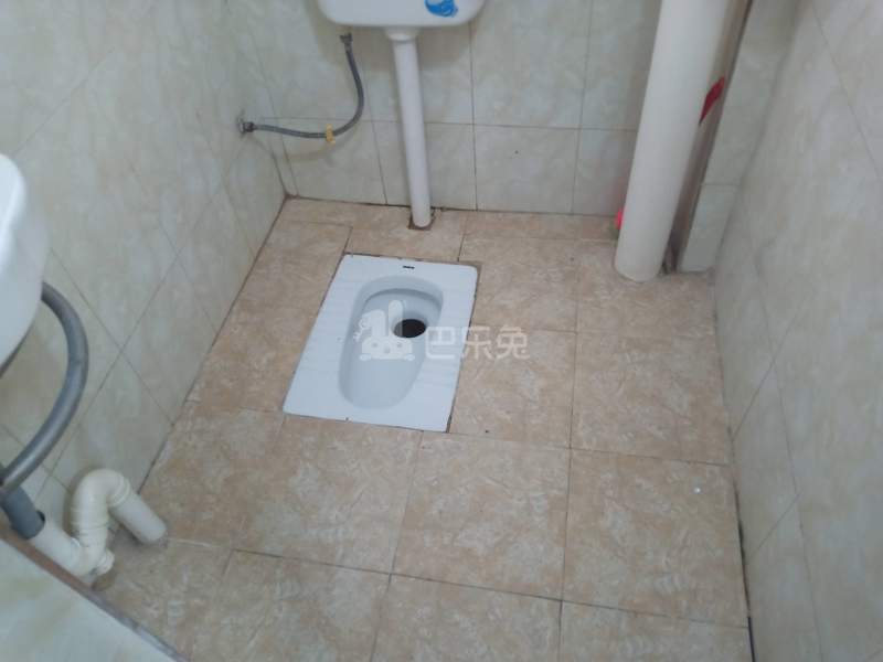 望岗村大岭北街31号4512323卫生间图4