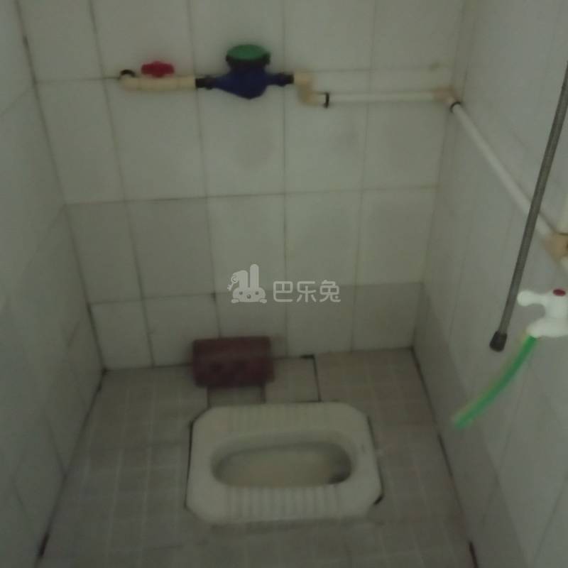 植村三路二巷8号4519263卫生间图4