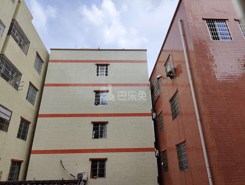 珠村南便大街三巷2号4526017周边环境图10