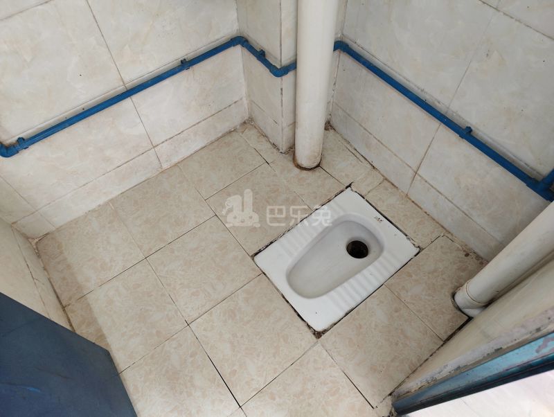 珠村南便大街三巷2号4526017卫生间图8