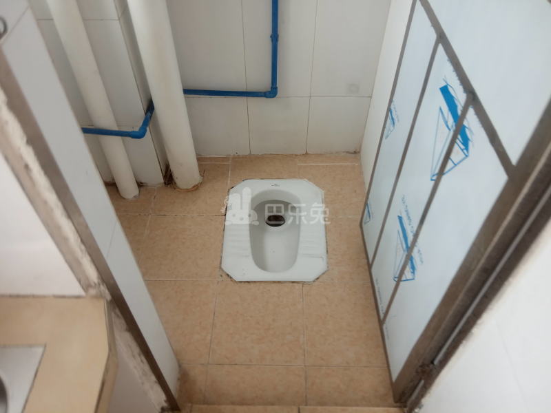 珠村中东新街十六巷5号4527757卫生间图12