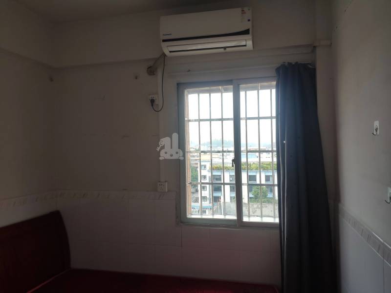 珠村中东新街十六巷5号4527761卧室图7