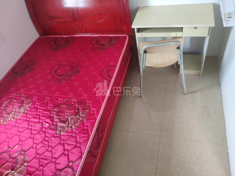 珠村中东新街十六巷5号4527761卧室图3