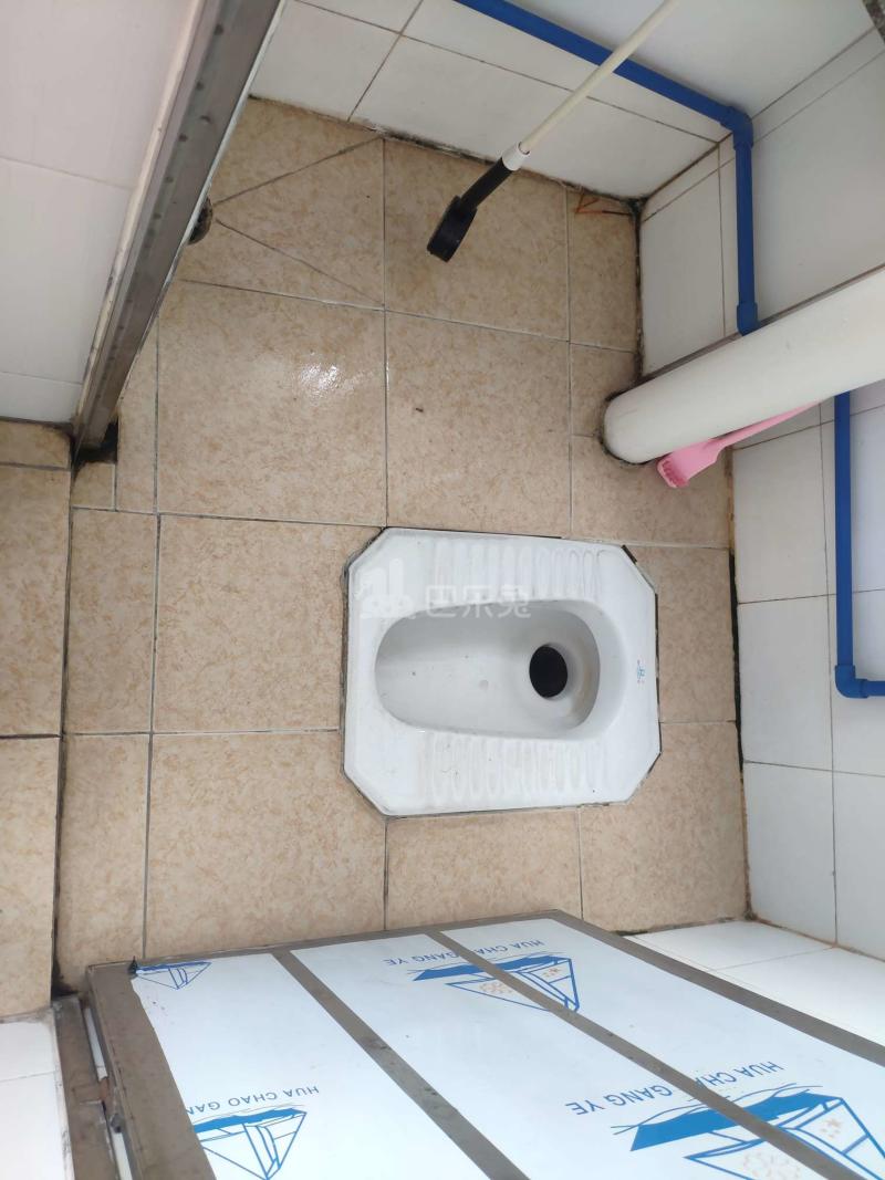 珠村中东新街十六巷5号4527761卫生间图14