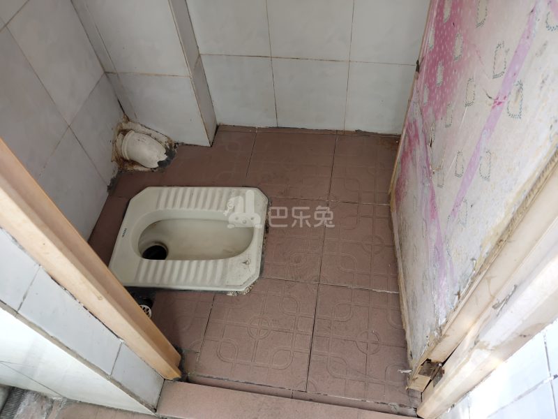 棠东龙门大街五巷7号-棠东村4527801卫生间图4