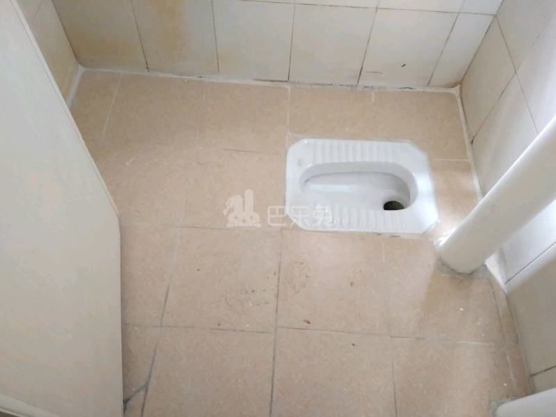龙洞村龙洞东街一巷7号4534776卫生间图9