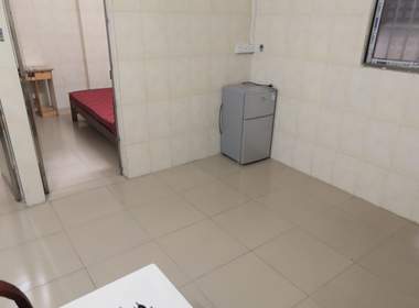 珠村西便大街八巷3号 