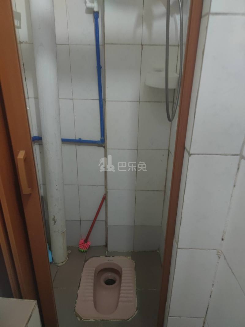 下元岗东街五巷5号4539473卫生间图4