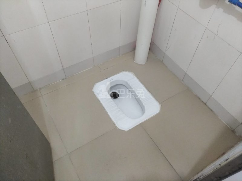 下元岗东街六巷5-1号4539506卫生间图4