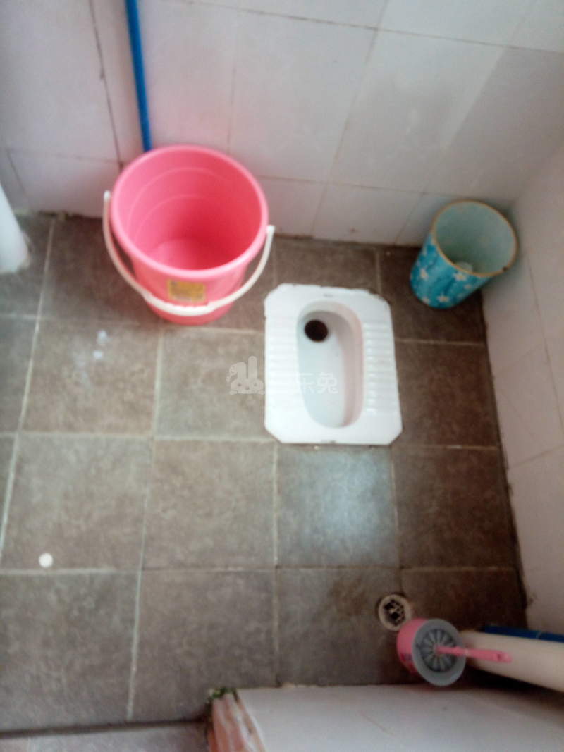 万家灯火公寓（嘉禾望岗望岗村百花岭街3号）4541102卫生间图4