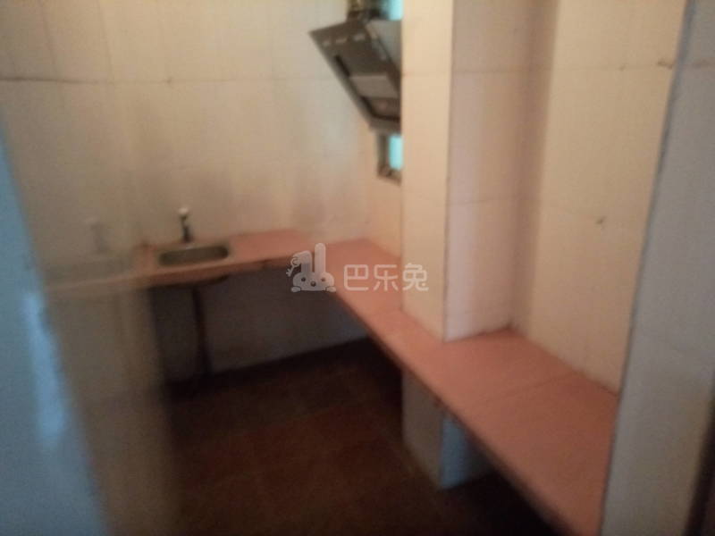 万家灯火公寓（嘉禾望岗望岗村百花岭街3号）4541102厨房图2