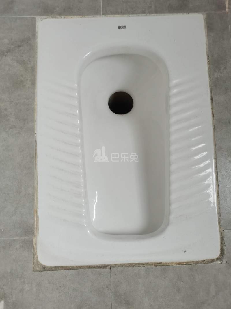 万家灯火公寓（嘉禾望岗望岗村大岭中街11巷11号）4541282卫生间图15