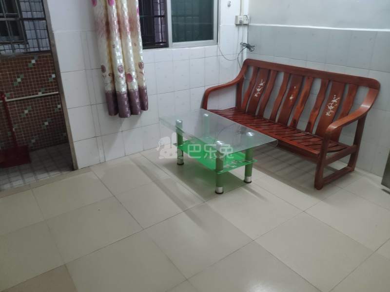 棠东龙门东街四巷6号-棠东村4542211客厅图5