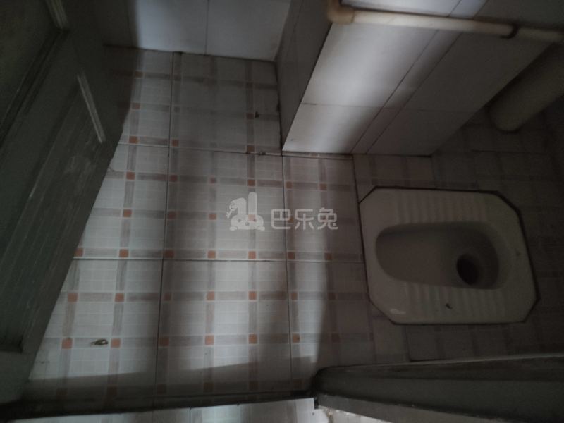 棠东龙门东街四巷6号-棠东村4542211卫生间图9